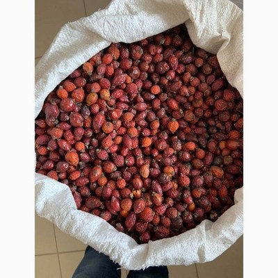 Whole Dried Rose Hips ( Rosa Canina, Shipshyna) ORGANIC from Carpathian mountain