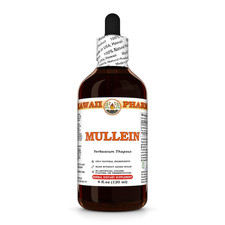 Mullein Verbascum Thapsus Tincture, Dried Leaf Liquid Extract