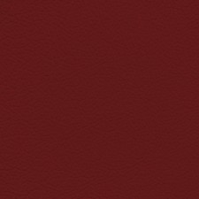 Toyota Circuit Red Leather Dye