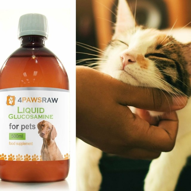 joint care for cats