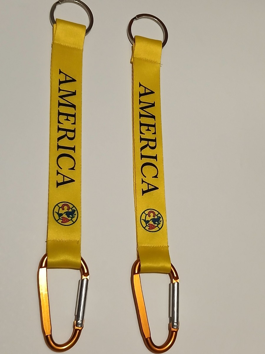 holder yellow keyring