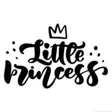 Little Princess - Decal Sticker - Multiple Colors Sizes - ebn6301