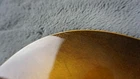Picture 10 of 24
