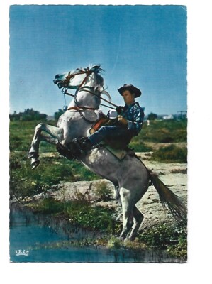 Carte Postale Ancienne - Camargue - Chevaux Et Gardians - CPM