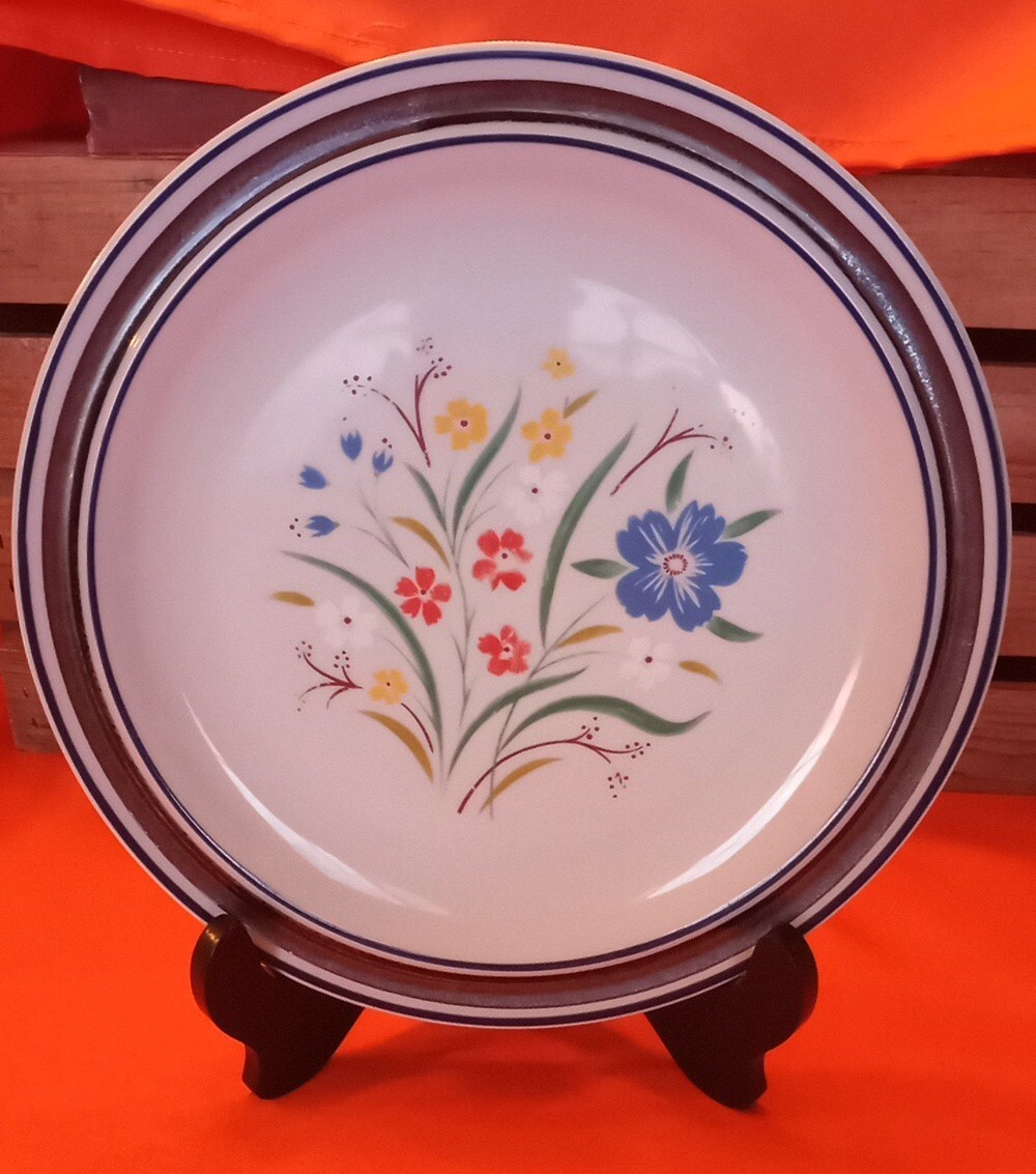 Vintage Salem Stoneware Floral Dinner Plate 10.5" Blue And