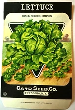 Vintage Seed Packet Black Seeded Lettuce Card Seed Co. Fredonia, NY A3