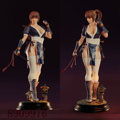 Kasumi Dead or Alive 3D Printing Figure Unpainted Model Sculpture GK Blank Kit