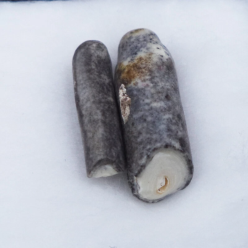 SARIRA PRA TATH MONJE AONG-KU-LI-MA-LA DRAGÓN CUEVA BUDA RELIQUIAS AMULETO TAILANDÉS Nº2 Foto 2 de 4