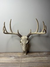 Faux Deer Skull Wall Mount Antlers Resin Rustic Stag Head Decor 39cm Wide