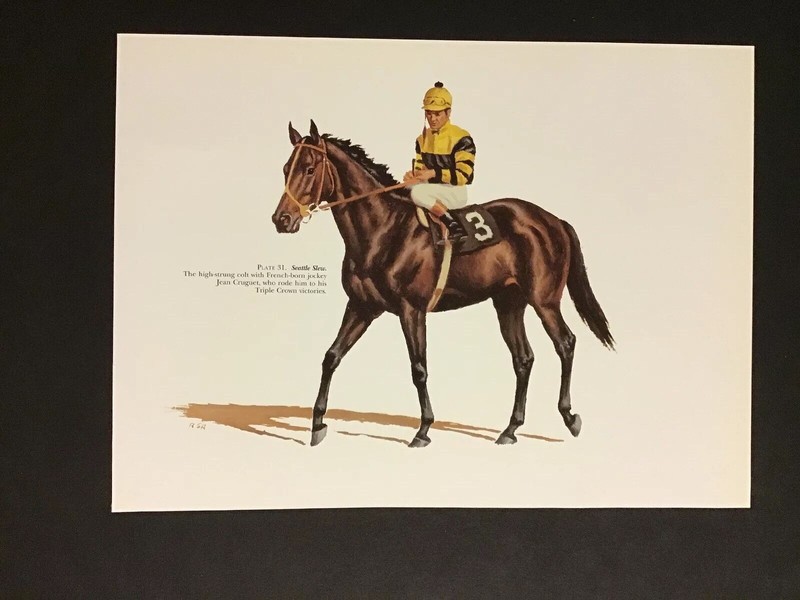 Seattle Slew photo 15” X 11" 1977 Kentucky Derby Horse Racing