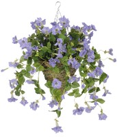 House Of Silk Flowers Inc. Petunia Hanging Plant In Beehive Basket on sale House Of Silk Flowers Inc. Petunia Hanging Plant In Beehive Basket on sale
