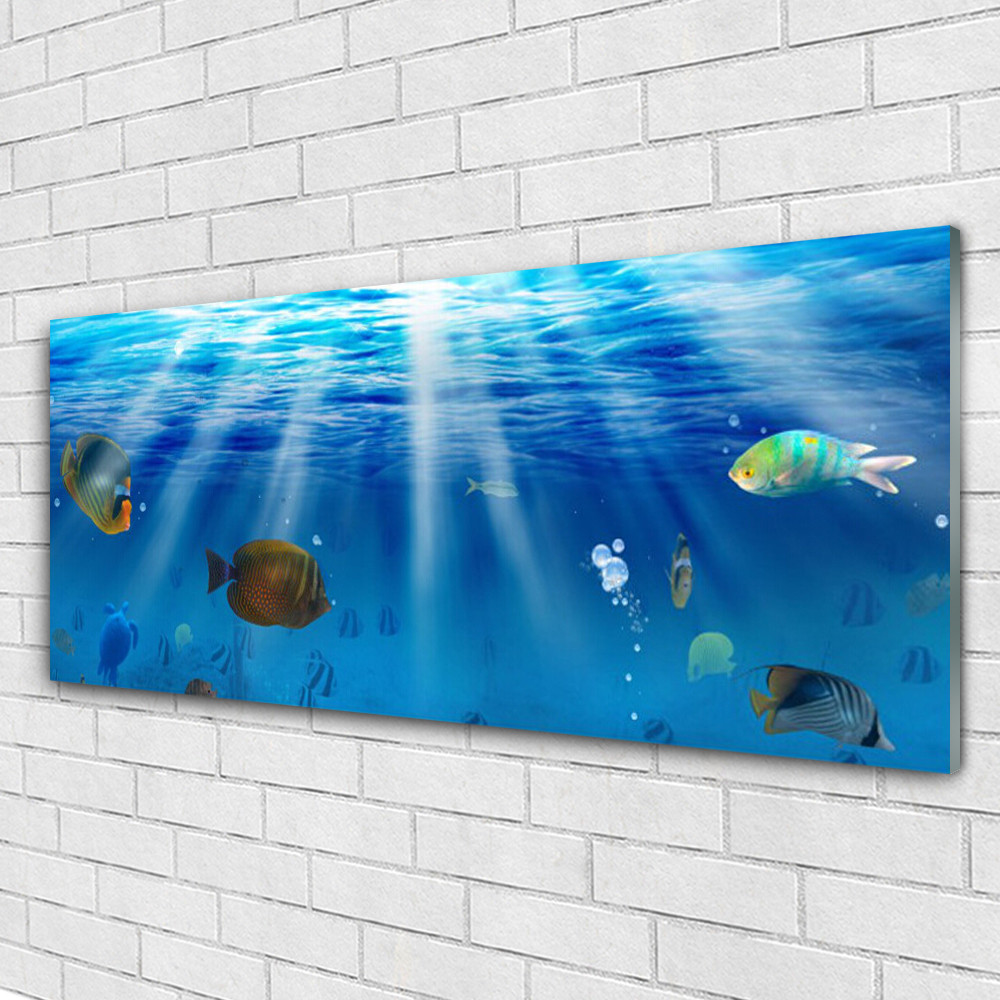 Tableau en verre acrylique 125x50 cm panoramique sur le thème nature poissons