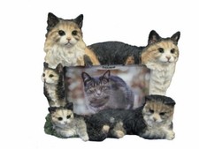 E S Pets 35297-10 Large Cat Frames