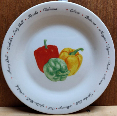 2 Pieces Rare Oneida Kitchen Bread & Butter Plates Bell Peppers Valencia Vidi