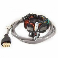Magnetlichtmaschine Piaggio Hexagon LX4 125 1998 1999 294971