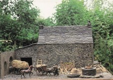 29 BRENNILIS ERNTETAG