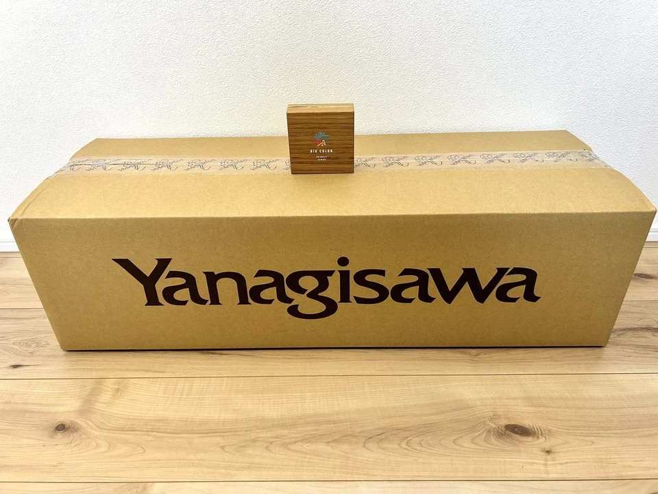 Saxofón Soprano YANAGISAWA S-WO10 Bb Latón Lacado con Estuche Semi Rígido Foto 2 de 4