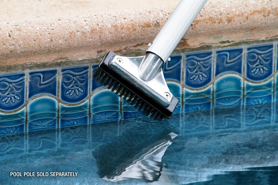 20178 Aluminum-Back Swimming Pool Algae Brush with 5-Inch Steel Brush2 - Image 2 of 4