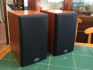 polk audio rt25i