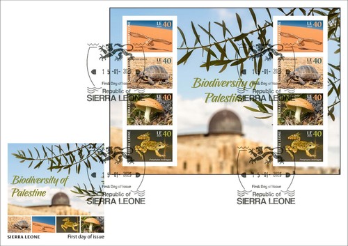 SIERRA LEONE 2025 PALESTINE FULL PACK MS1V MS8V SS1V & IMPERF & FDC CARD BKLT - Picture 12 of 14