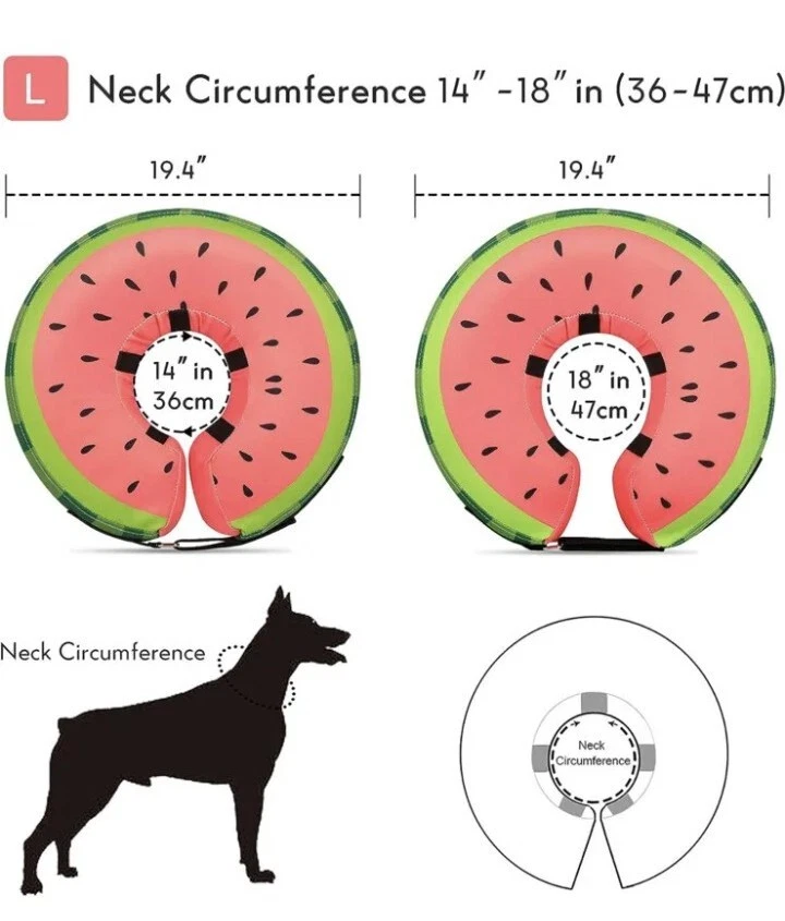 Collar inflable protector suave de recuperación de mascotas perros sandía mediana Foto 2 de 2