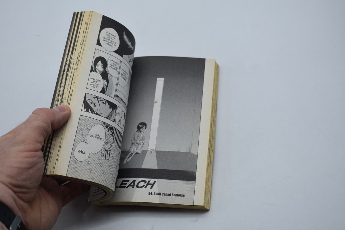 Bleach: v. 11: A Star and a Stray Dog, Tite Kubo FAST SECURE SHP