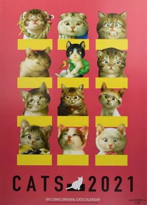 Big Comic Original Makoto Muramatsu Cat Wall Calendar CATS 2021 Japan  Tracking# | eBay