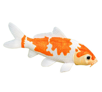 Yellow White Koi Fish Toy Action Figure Small Animal Figurine Doll Gift for Kids
