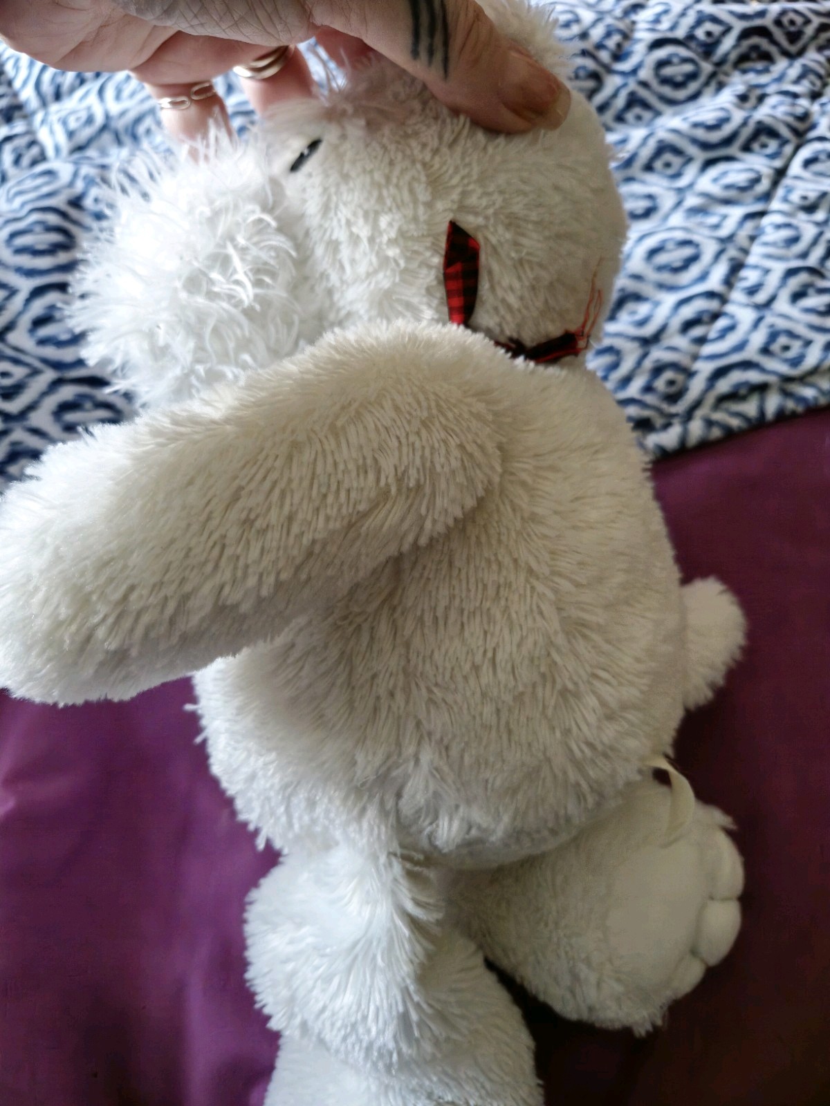 Bild 4 von 11