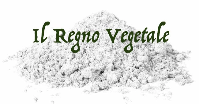 IL REGNO VEGETALE Argilla BIANCA Polvere Ventilata PURA Bolus Alba Caolino Uso Esterno 100/500/1Kg