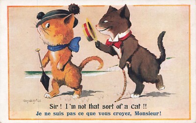 HUMANIZED CATS, I am not what you believe, sir! 949