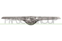 Prasco SK3242206 KüHlergitterleiste Verchromt Skoda - Fabia (5J) - Mod. 05/07 -