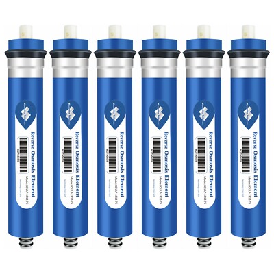 6 Pack 50/75 GPD RO Membrane Reverse Osmosis System Water Filter 1812 Cartridges