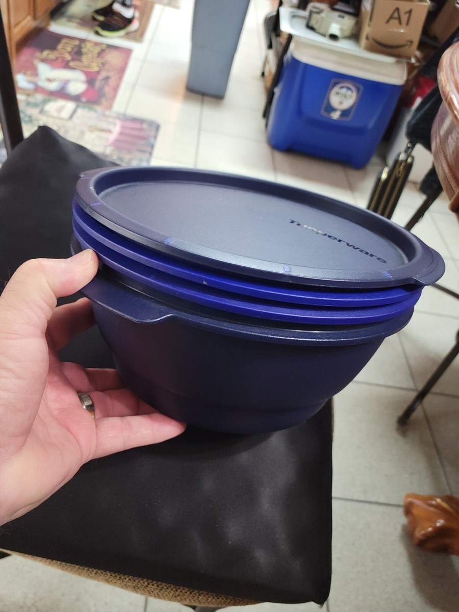 18 Recettes Délicieuses à Réaliser dans le Micro Urban Family Tupperware