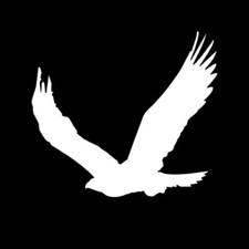 Eagle Sticker Decal