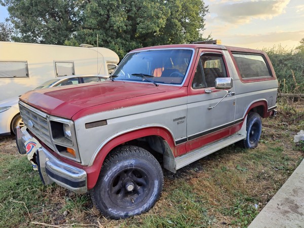 eBay - 1983 Ford Bronco XLT