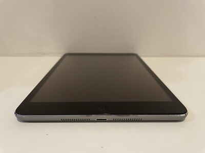 Apple iPad mini 2 32GB, Wi-Fi, 7.9in - Space Gray - White Spots on