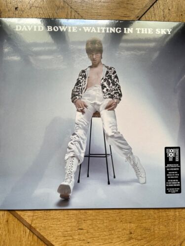 David Bowie RSD 2024 PWAITING IN THE SKY (180 G) LP  songs dated 15.12.71 - Afbeelding 1 van 2
