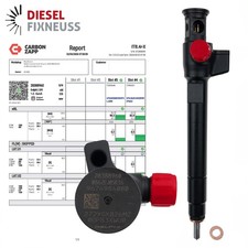 Injektor Einspritzdüse für Ford Peugeot Citroën 2.0 HDi TDCi 9674984080 28388960