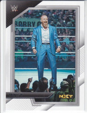 TRIPLE H   ( 2022 WWE Panini NXT ) ( Base Card #100 )