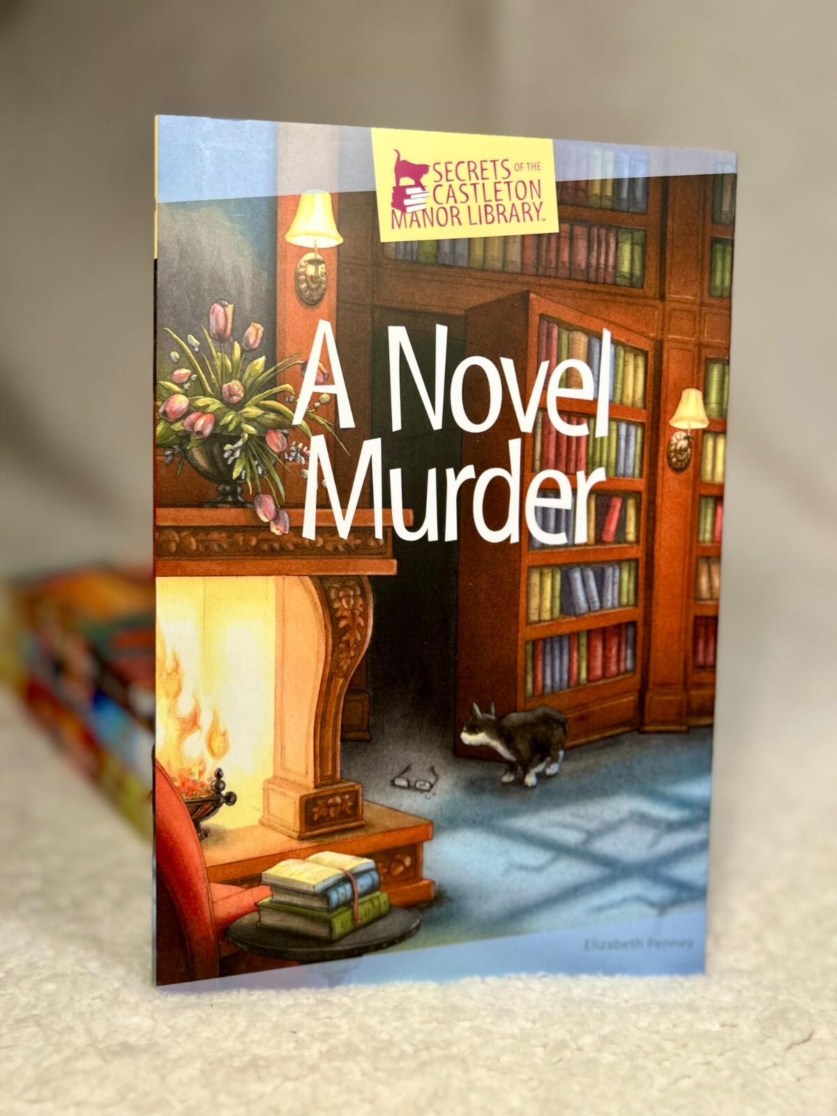 NEW Secrets of the Castleton Manor Library Books *CHOOSE YOUR LOT* eBay