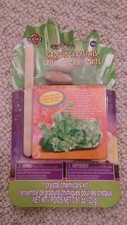 BRAND NEW GREEN CREATIVE KIDS SCIENCE CRYSTAL GROWING KIT AGES 10 