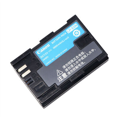 PATONA Batteria LP-E6N 1600mAh – Compatibile Con Canon EOS R5, R6, 5D Mark II/III/IV, 6D, 7D, 80D, 90D E Molti Altri – Con Info-Chip