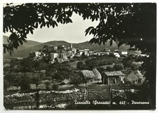 TORNIELLA (GROSSETO) - Panorama