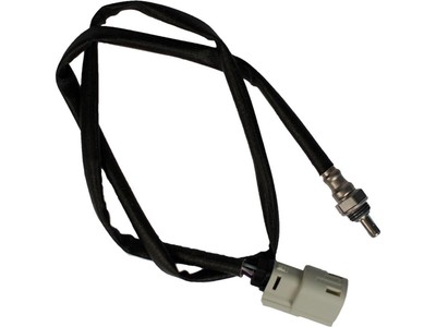FEULING 12mm Oxygen Sensor, Grey Connector, 29'' OAL, 4 Wire für Harley Touring