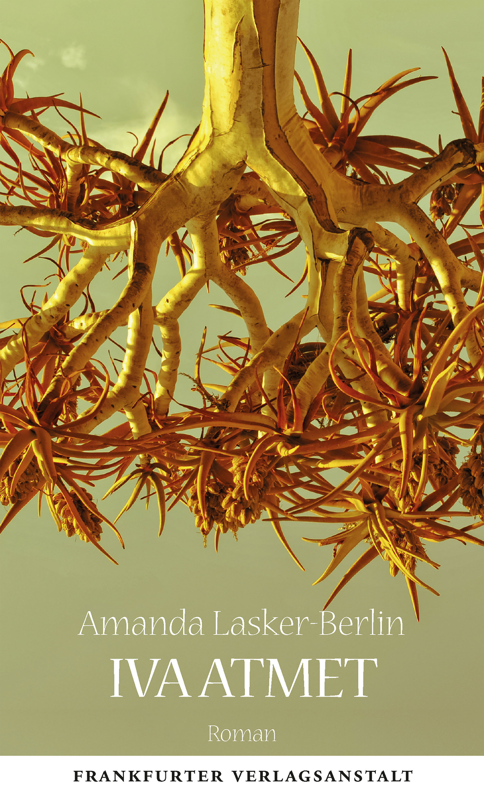 Amanda Lasker-berlin / Iva Atmet