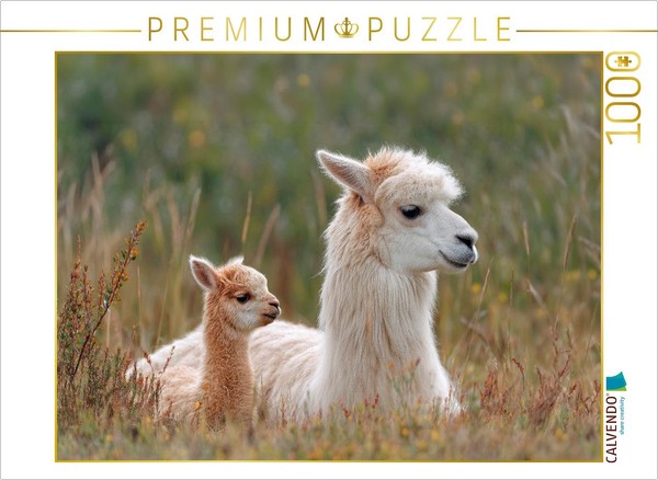 Calvendo Puzzle Alpakas - MutterglüCk Im Gras | 1000 Teile Lege-GrößE 64 × 48 Cm-image