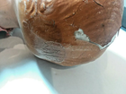 Bild 3 von 7