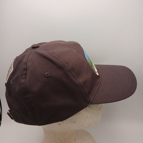 Geico Hat Advertising Cap Strap Back Gray White Script Mountain Patch Logo CMA - 第 9/24 張圖片