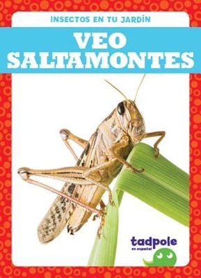 Veo Saltamontes (I See Grasshoppers) by Genevieve Nilsen: New